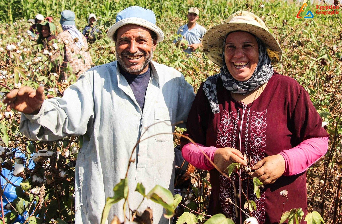 The egyptian fallahin (farmers)There is just something special abour growing your own crops, and eating from what your hands planted in your lands, that Egyptians got attached to so much that they never left their lands for as far back as they first stepped a foot on it...