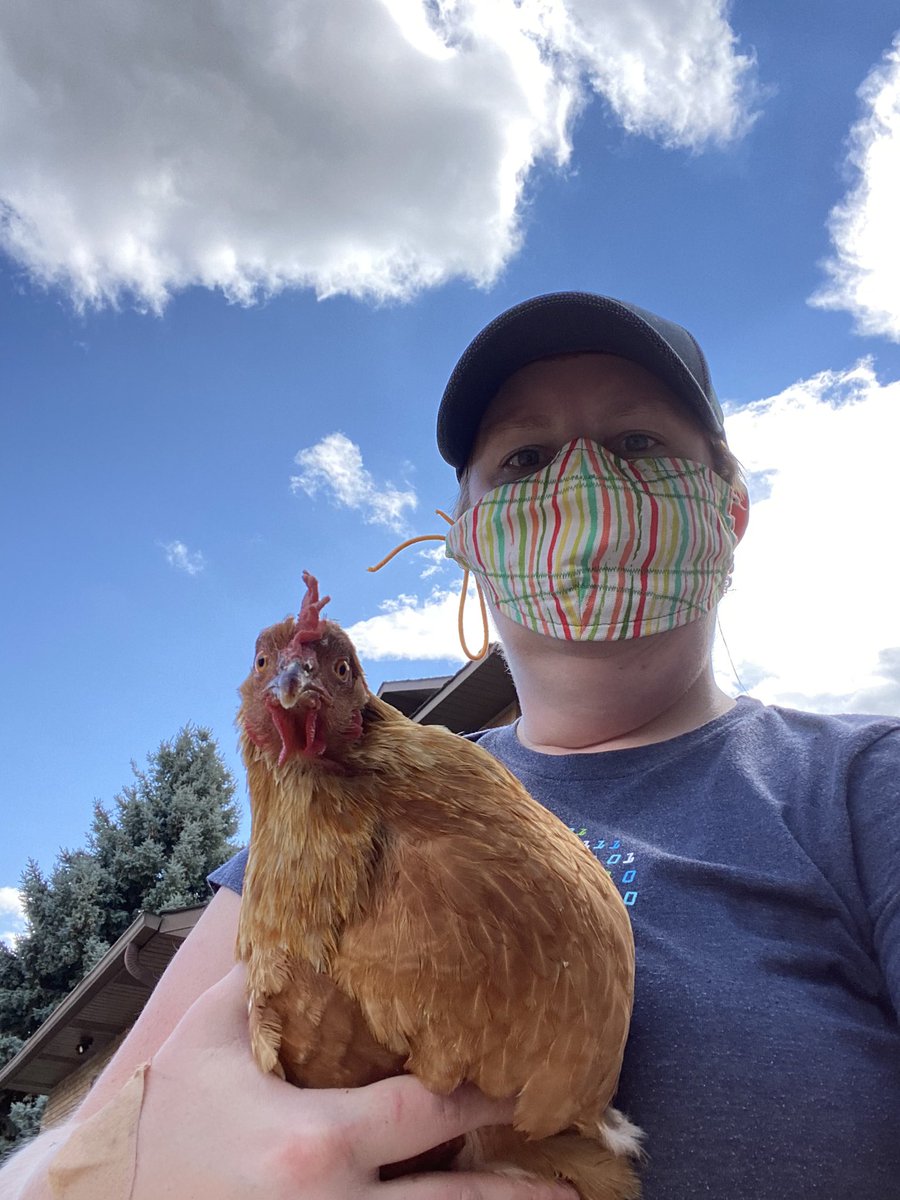 Erika Noerenberg gutterchurl@infosec.exchange tweet media