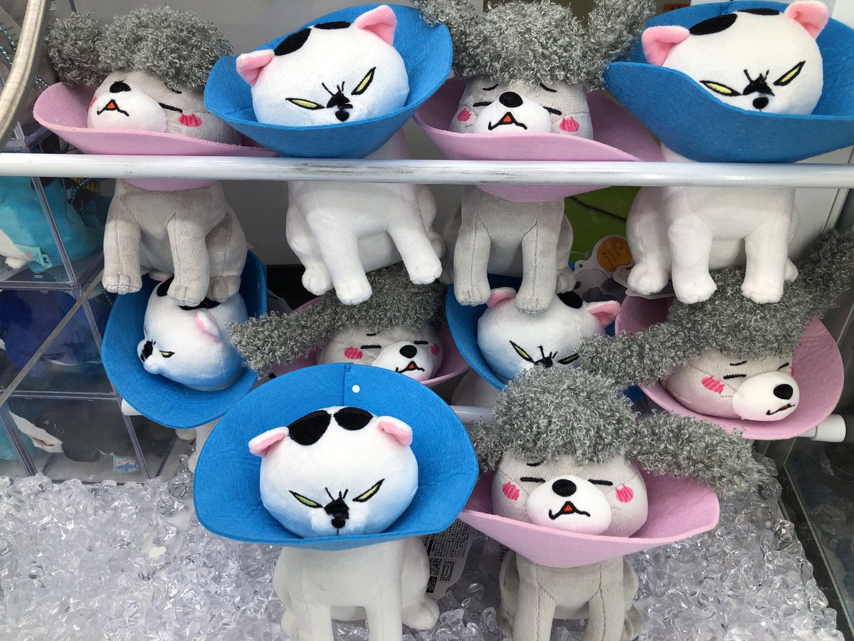 スペースファンタジーインフィニ V Twitter 新着景品 犬と猫どっちも飼ってると毎日たのしい エリザベスカラーぬいぐるみ エリザベスカラーを巻かれて不服そうなお顔が可愛い 弘前 青森 秋田 大館 能代 ソユー インフィニ さくら野 スペースファンタジーインフィニ V Twitter 新着景品 犬と猫どっちも飼ってると毎日たのしい エリザベスカラーぬいぐるみ エリザベスカラーを巻かれて不服そうなお顔が可愛い 弘前 青森 秋田 大館 能代 ソユー インフィニ さくら野