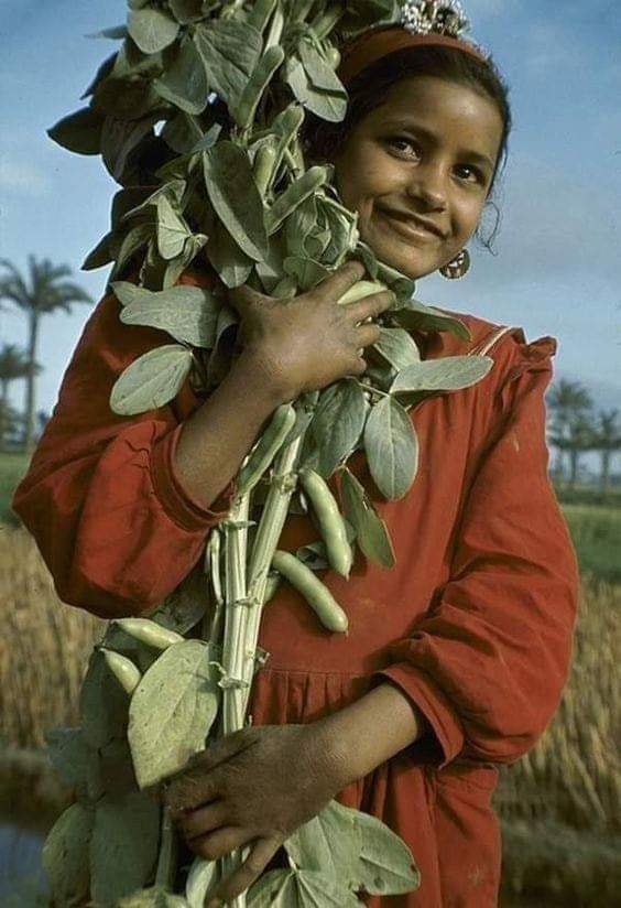 The egyptian fallahin (farmers)There is just something special abour growing your own crops, and eating from what your hands planted in your lands, that Egyptians got attached to so much that they never left their lands for as far back as they first stepped a foot on it...