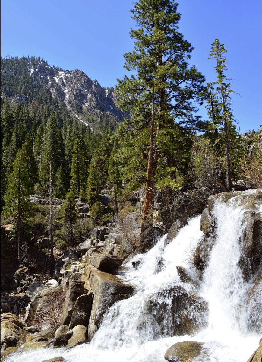 DukeTravelsCA's tweet photo. It’s the Fall finale of weekly #TriviaTuesday and this is Duke in his favorite happy place! Deep snow for frolicking in the winter, gorgeous meadows, waterfalls and babbling brooks in the Summer. And best of all, soak your bone in hot springs after! #WhereisDuke?! Rules below! ⬇️ https://t.co/D0er7Hr9Dy