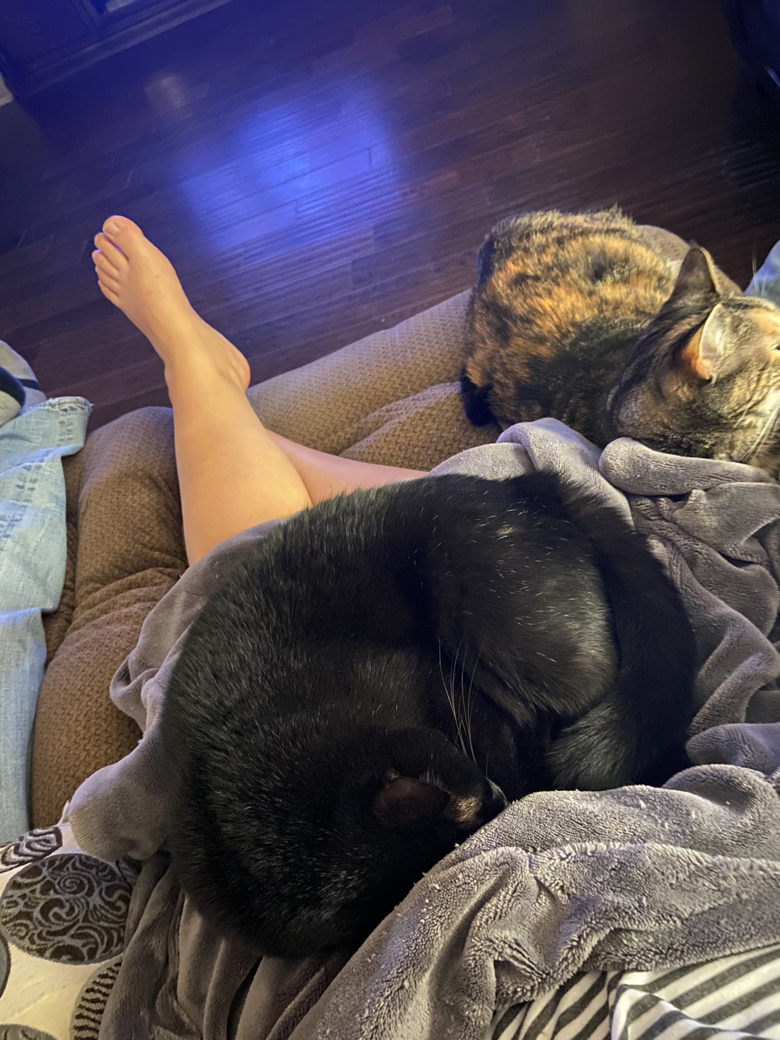 Katie Anders on X: @agirlandaboy t.cokC79p0VVTy  X