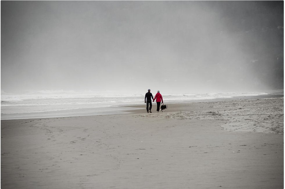 KunalMehraPhoto's tweet photo. If you have ever gone to the woods with me,
I must love you very much - #MaryOliver
A winter walk along the beach in #ManzanitaOregon #OregonBeaches #Loveforever #OregonWinter
https://t.co/5eHqY9FI0J https://t.co/DqKAK8I5rl