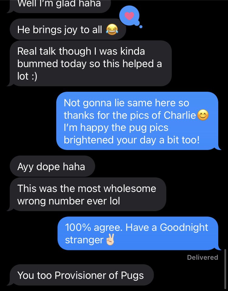 Accidentally sent pug photos to a random person and it turned into the most wholesome interaction of 2020: