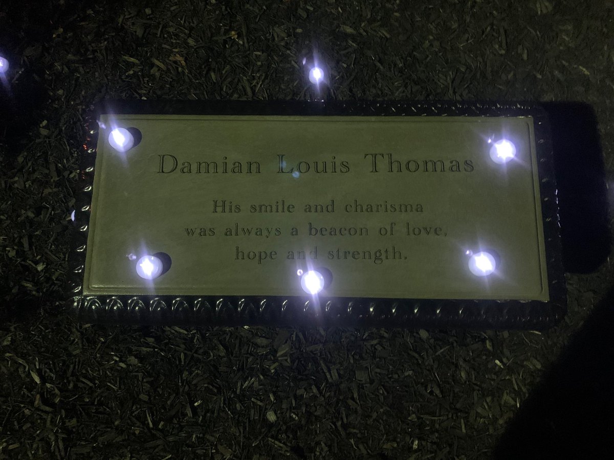 Damian’s garden continues to shine through the night. We invite the community to visit this special garden for our special angel 🤍💙