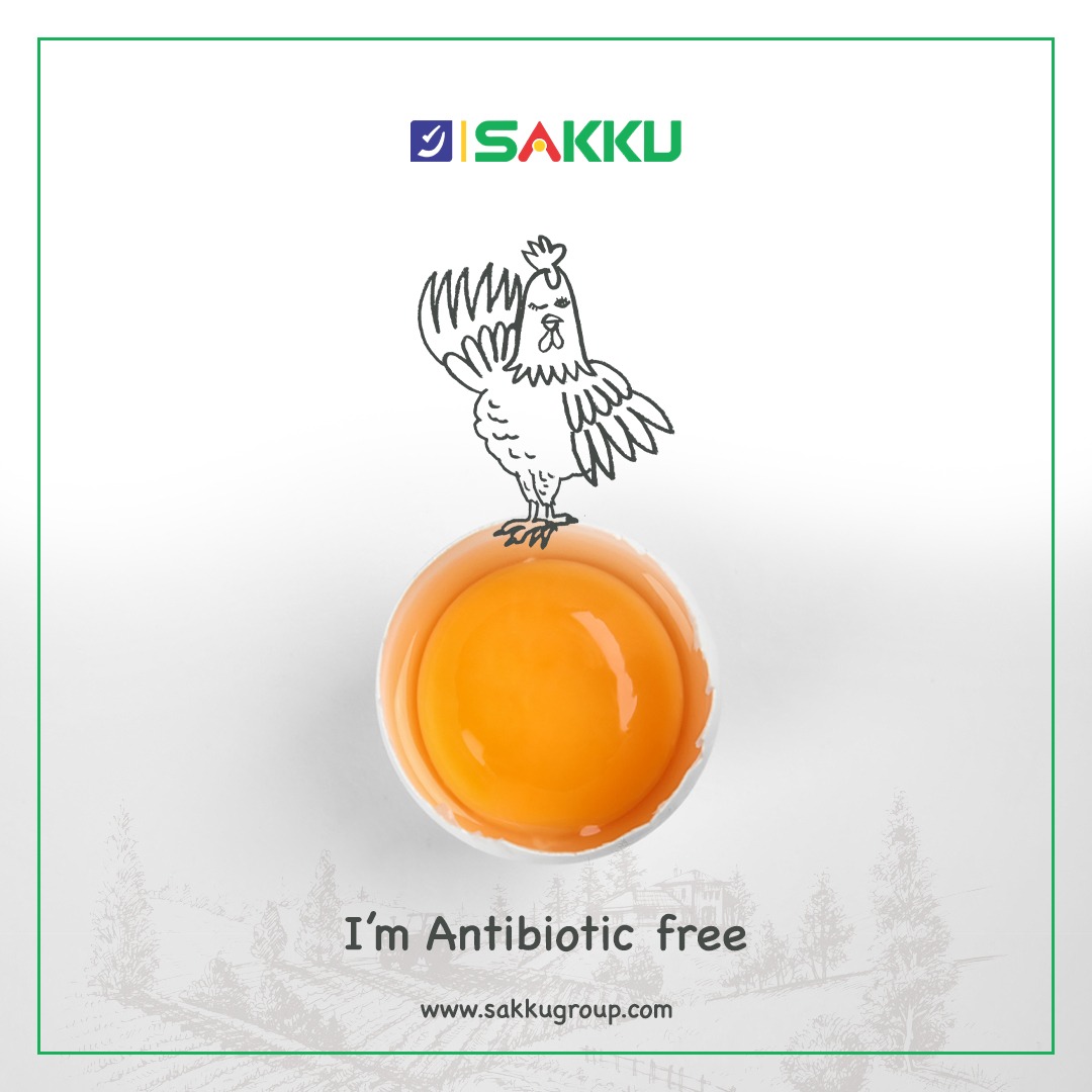 SakkuEggs's tweet image. We take pride that Sakku Eggs are completely antibiotic free. We maintain high quality and standards and deliver the best to our customers.
#eggsforgoodhealth #eggsforimmunity #vitaminD3
For Franchise details call on : 8008499799
--&amp;gt;&amp;gt;sakkugroup.com