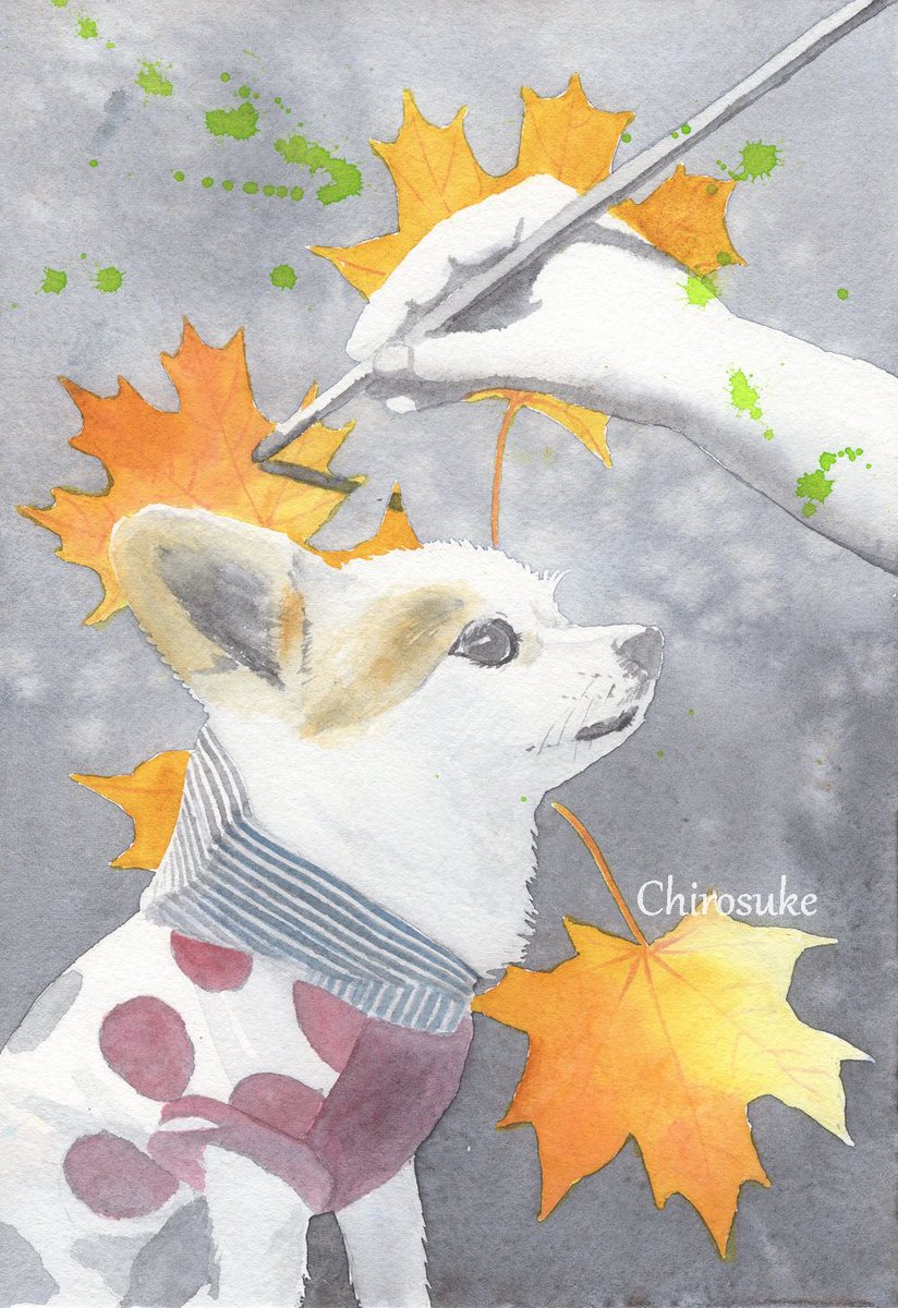 「#秋を感じる作品が見たい 」|ちろ助のイラスト