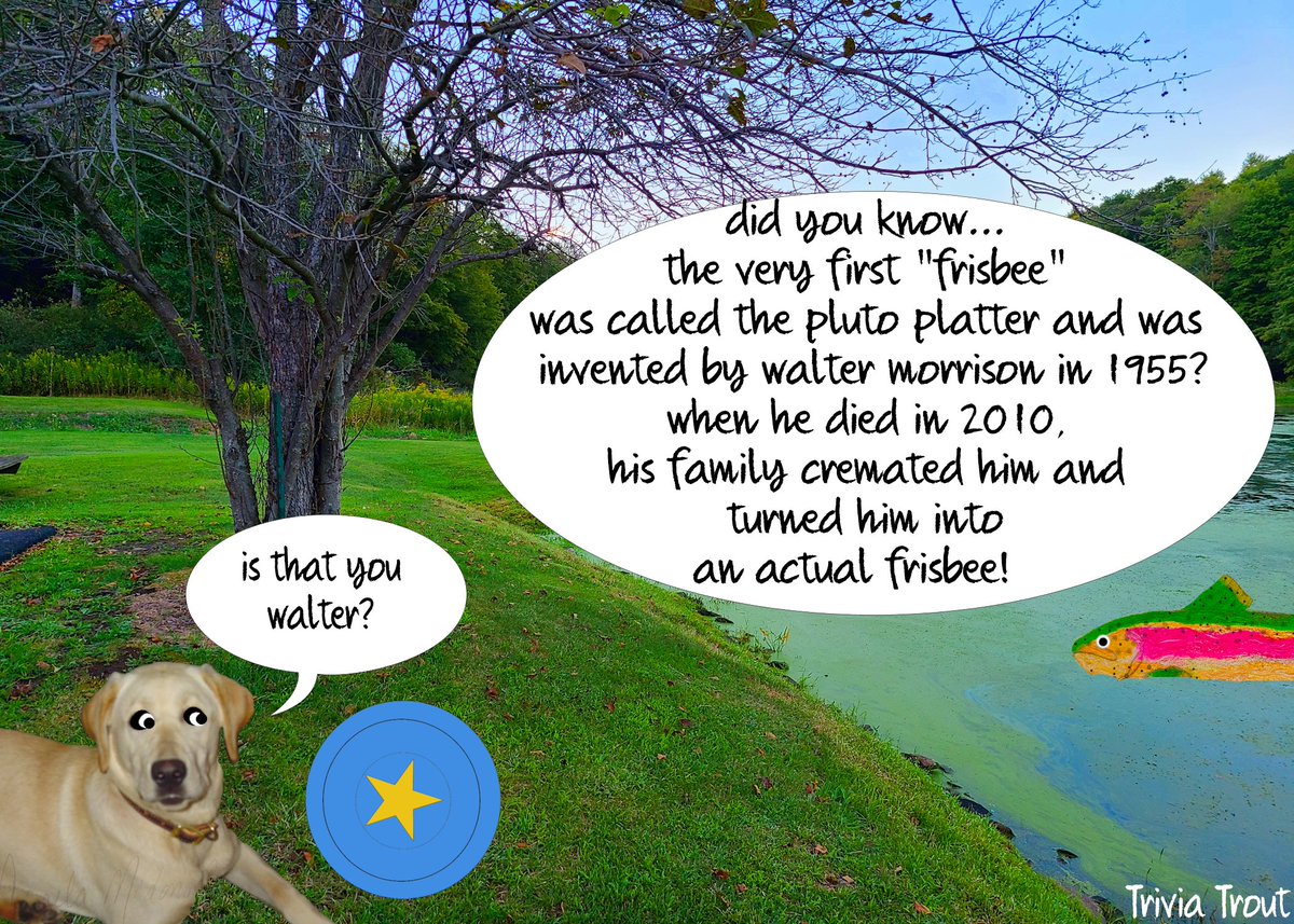 TriviaTrout's tweet photo. #triviatrout #trout #trivia #fish #funfacts #funfact #learningsomethingnew #learningisfun #didyouknow #animals #animalfacts #insectfacts #reptilians #nature #interesting #rainbowtrout #fishfacts #funwithfriends #walter #plutoplatter #frisbee #waltermorrison https://t.co/Cv6yxxvkGv