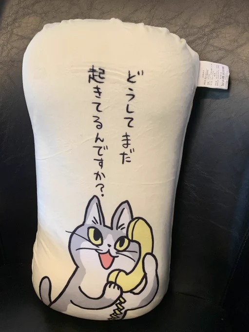 アベイルと、しまむらで仕事猫!!
テレワークだから腰クッション大事だよ、ヨシ!!?

#電話猫
#仕事猫 