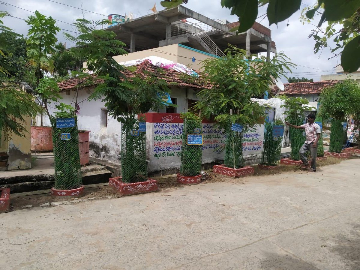 SantoshKumarBRS's tweet photo. This is in deed heart warming👇. Thank you #KrishnaMurthy garu for your love towards #Nature. Much appreciations to you for what you have done. Not only planting saplings but provided tree guards and watering them is what one has to learn from you🙏.

#GreenIndiaChallenge 🌱🌱🌱. https://t.co/K8b58EDLKR
