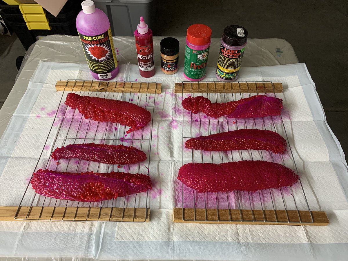 Chawk29's tweet image. Either ur fishing or getting ready to go fishing. I’ll take either one. 🎣🎣🎣