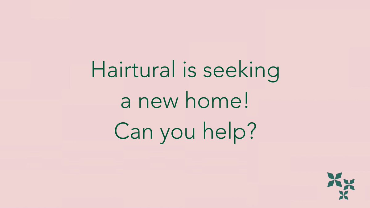 We are looking for a property zoned for commercial activity and that is plumbed as a salon; 250 square meters or more - parking for 10 cars - ideally in Bryanston East. Email us at afro@hairtural.com