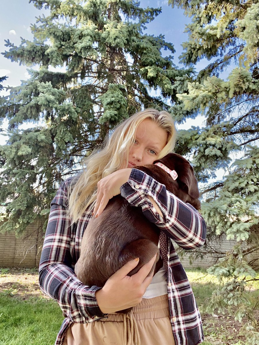 TruebloodAmelia's tweet photo. Twitter meet my new baby, Mocha🤎🤍 #chocolatelabmom #dogmom https://t.co/C8wI5eDURq