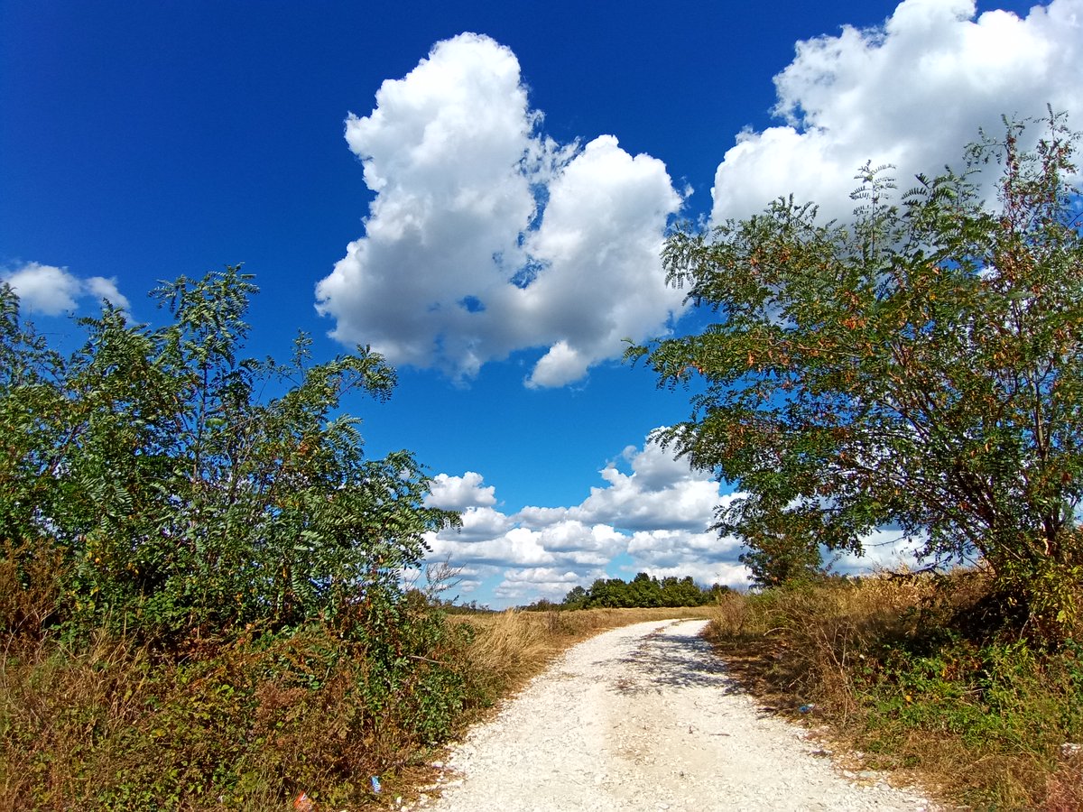WikoItalia's tweet photo. Foto panoramica non ti temo. Con l'obiettivo ultra-grandangolare di View5 è tutta un'altra storia.​

Foto scattata con View5​

 #Grandangolo #View5 #QuadCam #ShotonView5 https://t.co/DgqWj25G1Q