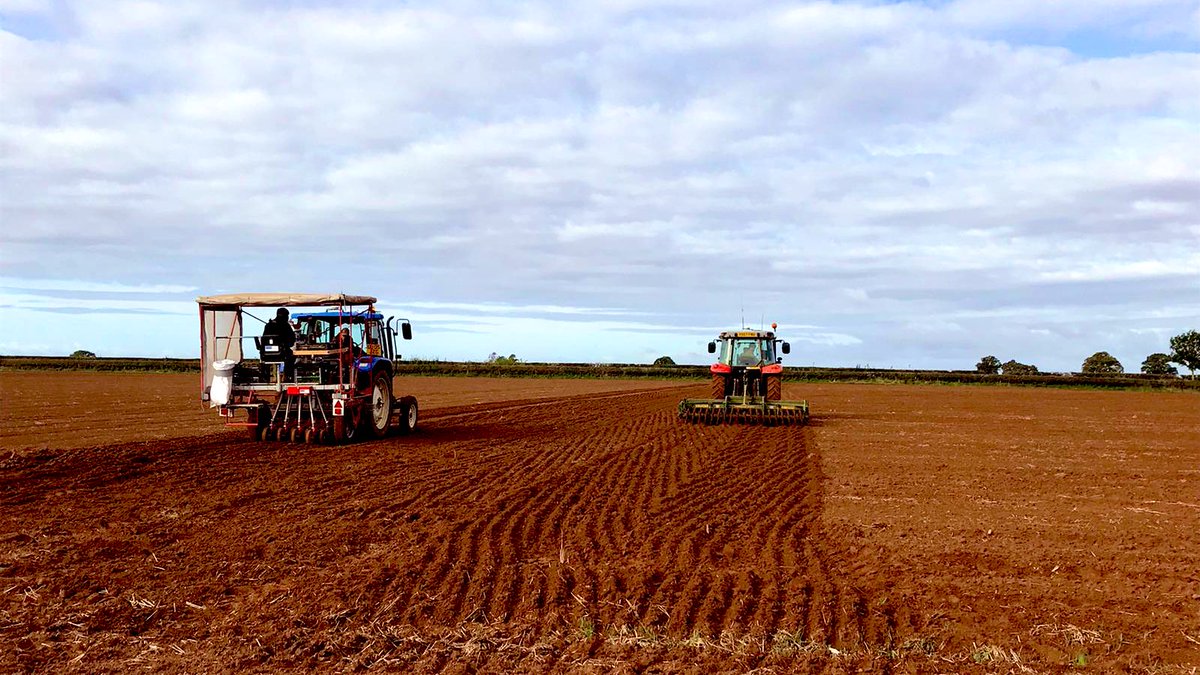 DSVUKSEEDS's tweet photo. Another day another wheat trial
Racing to beat the weather #newlife #futuregenetics #agriculture #yields #farming #wheat https://t.co/cFDAnENM7T
