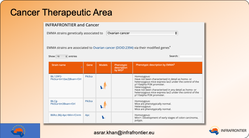 InfrafrontierEU's tweet photo. Check out our Cancer Research page that includes our new INFRAFRONTIER Cancer Resource https://t.co/fJVSDFZRI7
@InfrafrontierEU #InfrafrontierConf #InfraConfCancer https://t.co/MaVZEKcErn