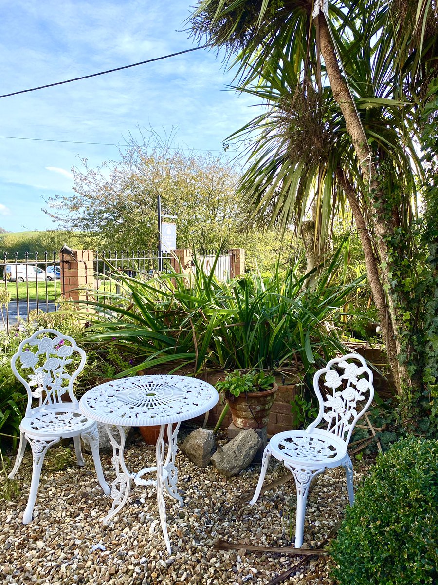 AshburyCare's tweet photo. We are open today and the sun has finally returned ☀️ 🎉

This is one of a few waiting areas we have at the practice, if you’re lucky you might spot our resident Robin sneaking into the garden for a snack whilst you’re waiting for your appointment 🥰💓 #Budleigh #Dentist #Exeter https://t.co/T6iAAom6tc