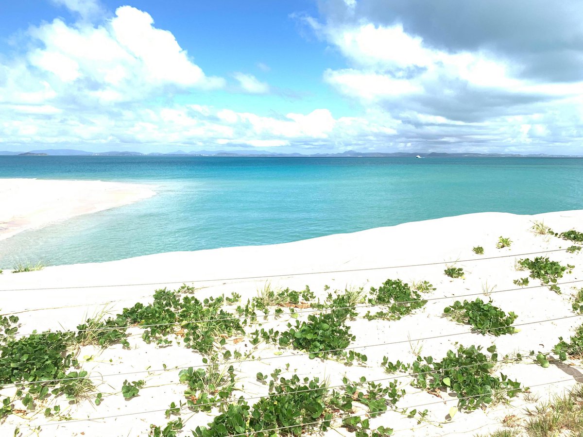 CQUniversityVC's tweet photo. At the beautiful Great Keppel Island today to enter into a @CQUni partnership that will allow our students &amp; researchers to work on real-world projects that contribute to the environmental sustainability of a busy tourist drawcard on the World-Heritage listed Great Barrier Reef! https://t.co/1ClH1G7wep