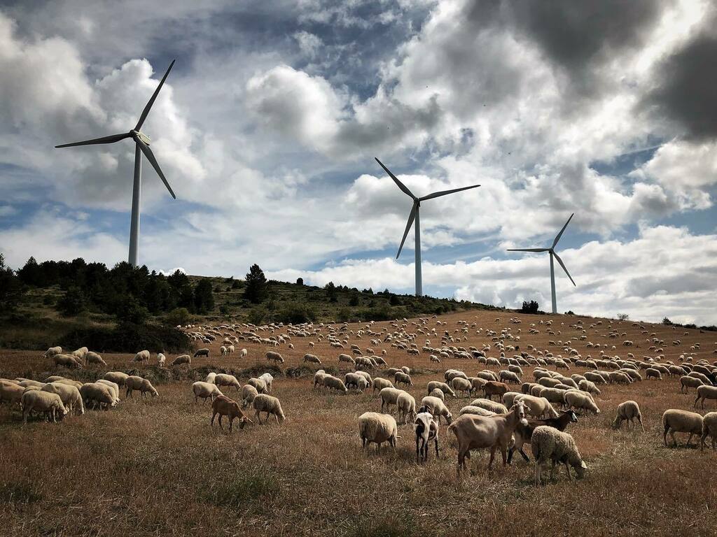 Wind farm. Navarre (Spain) // #windturbine #wind #turbine #renewable #renewableenergy #windfarm #aerogenerador #energy #cleanenergy #greenenergy #aerogeneradores #WindEurope #FriendsOfWind #climategramers instagr.am/p/CGB9h-yH01K/