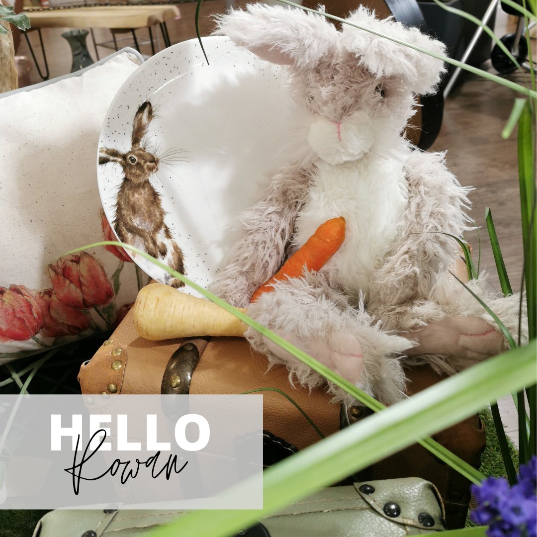 🍂 Wrendale Designs collection characters brought to life.. 🍁Meet Rowan🍁
Rowan is a bit of a daredevil &amp; is always getting up to mischief. He likes to show off &amp;his friends describe him as a bit of a joker. Available in Savoir Faire Home &amp; Gift
#wrendaledesigns #lovegrahams