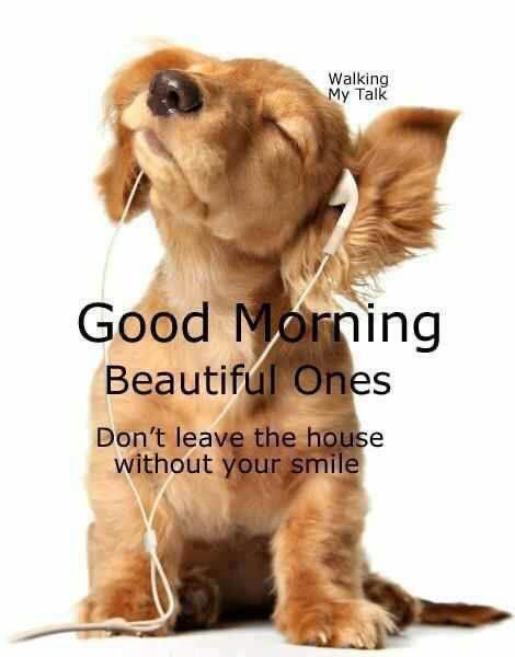 Good morning to all have a wonderful safe day stay positive keep smiling and always be kind hugs 😊🤗💞🙏🙏🍂🍂🍂☕️☕️☕️☕️☕️☕️☕️☕️☕️🍰🍰🍰🍰🐶😻🐶😻🐶😻🥰🥰🥰🥰🥰🥰🥰🥰🥰🥰