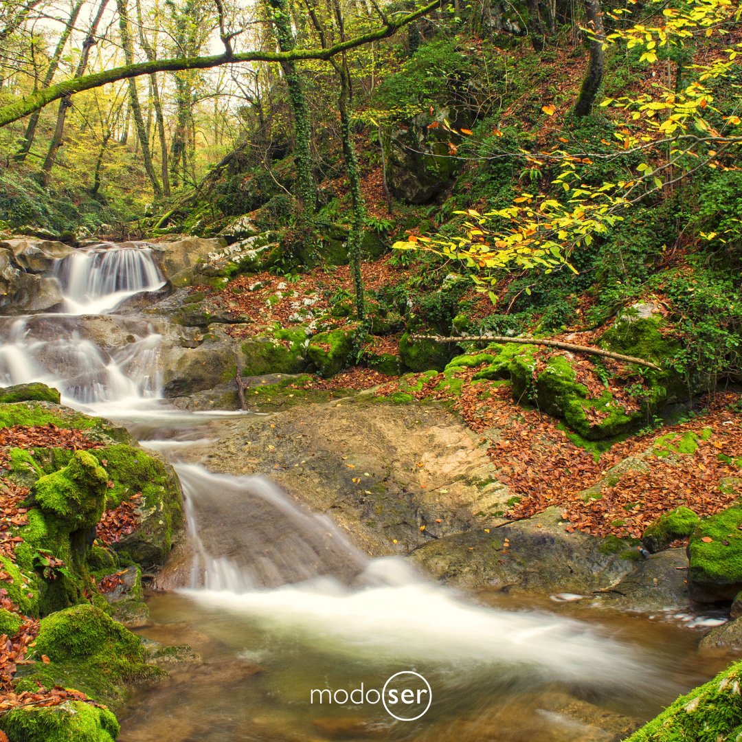 modoser1's tweet photo. "be water, my friend" Bruce Lee

¿Escuchas atento el fluir de tu vida?
#escuchaactiva#comunicacion#calma#fluir#crecimiento#desarrollopersonal#calma#paz#equilibrio#estres#modoser https://t.co/Uxqha8AMOv