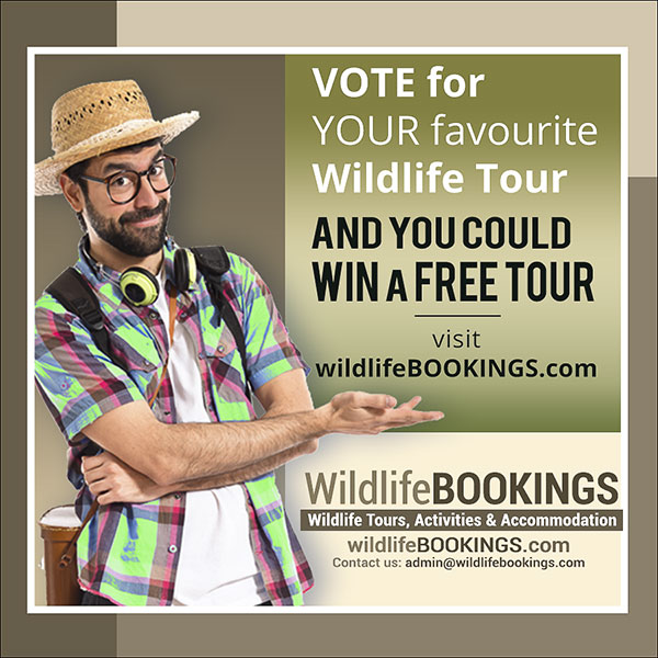 BEST inda BUSH! - mailchi.mp/fd7b6e2b0f55/b…