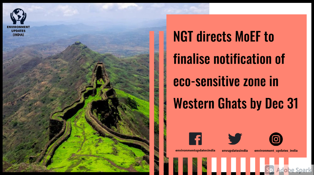 envupdatesindia's tweet image. Noting that the ecology of the #westernghats was under 'serious stress' and the matter has been pending for 8 yrs, the #NGT directed MoEF to issue final #ESZ Notification by Dec 31. Also said thereafter, direction to stop salary of Advisor, ESZ Division, MoEF will be operative
