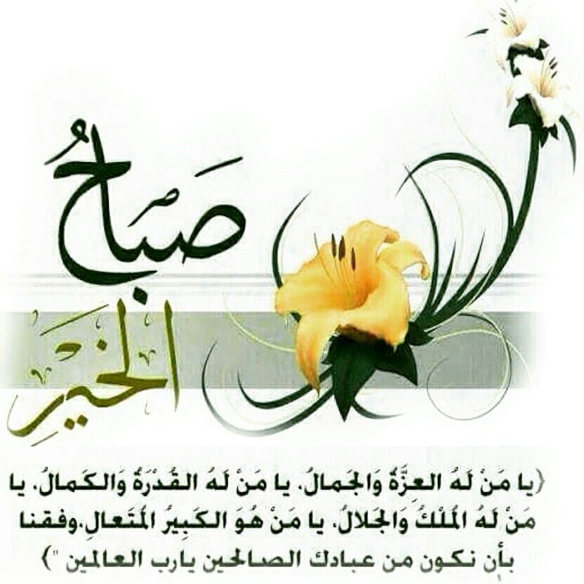 ويبقى ذكر الله هو الأجمل : 🌸  

 سبحآن الله ، والحمدلله ، و لا إله إلا الله
والله أكبر ،  ولا حول ولا قوة إلا بالله ...

💕 أسعد الله صباحكم 
       وأوقاتكم بذكره💕

#صباح_الخير