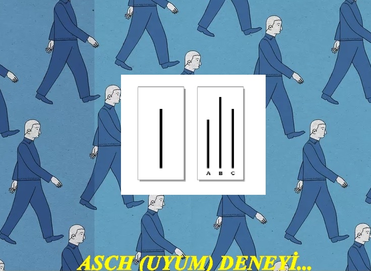 ASCH (UYUM) DENEYİ...

facebook.com/YoneticiEgitim…