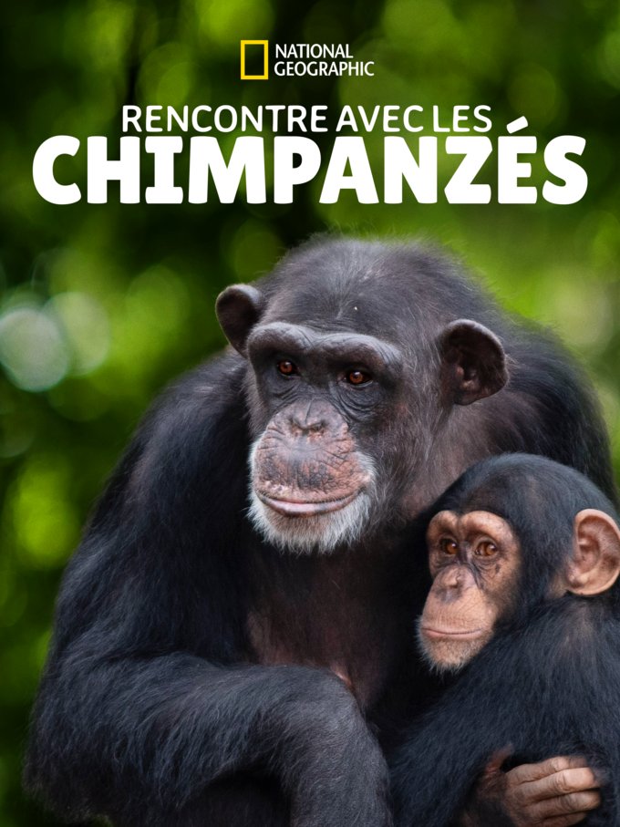 C'est ainsi que la série « Rencontre avec les Chimpanzés » composée de 6 épisodes arrivera le 16 octobre prochain en version originale sous-titrée et version française.