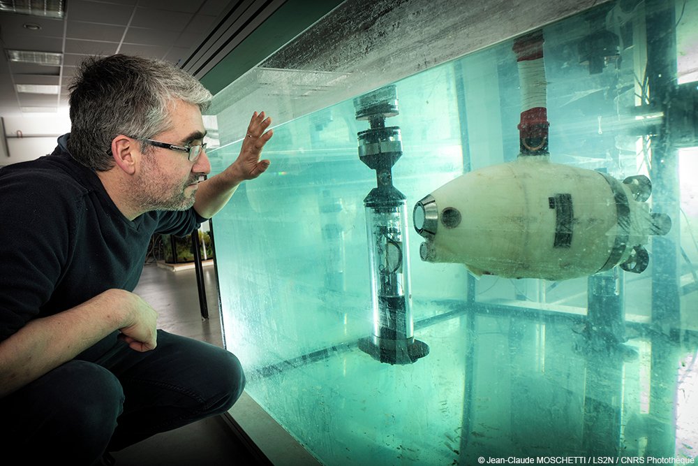 CNRS's tweet photo. #FutuRobot 🤖 Vous l’avez compris, la #biorobotique sait s’inspirer de la manière dont les animaux perçoivent leur environnement. Un dernier exemple avec les poissons-robots développés par le #LS2N et leur 6e sens.
Dans cet aquarium, on teste les … https://t.co/tqUhUUY7lG https://t.co/DfsSErwh51