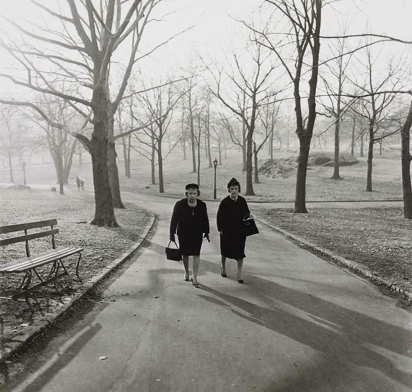 8intheuniverse's tweet image. "Walking is man's best medicine." Hippocrates

#walking in Central Park, NYC 1963, photograph by Diane Arbus
#nature #exercise #wellbeing