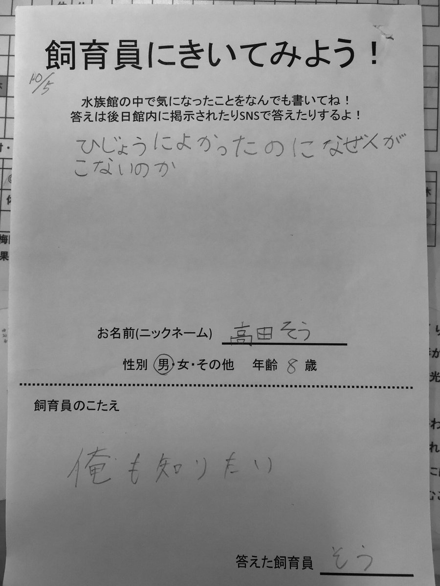 水族館の飼育員に聞いてみよう 非常に良かったのになぜ人が来ないのか 飼育員さん 館長 の回答がこちらです 切ない Togetter 水族館の飼育員に聞いてみよう 非常に良かったのになぜ人が来ないのか 飼育員さん 館長 の回答がこちらです 切ない Togetter