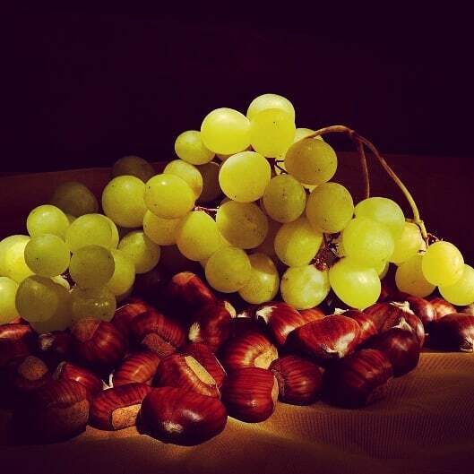 PintaMedicea's tweet photo. #Uva e #castagne magnifici frutti dell'#autunno e tratti distintivi delle #birre artigianali italiane, secondo la nuova guida alla #birra d'Europa a cura di #TimWebb e @ebcuinsta. Su #pintamedicea.com che cosa dicono delle nostre birre-simbolo all'estero… https://t.co/AOKqkO5L8Z https://t.co/eb9X7PECNG