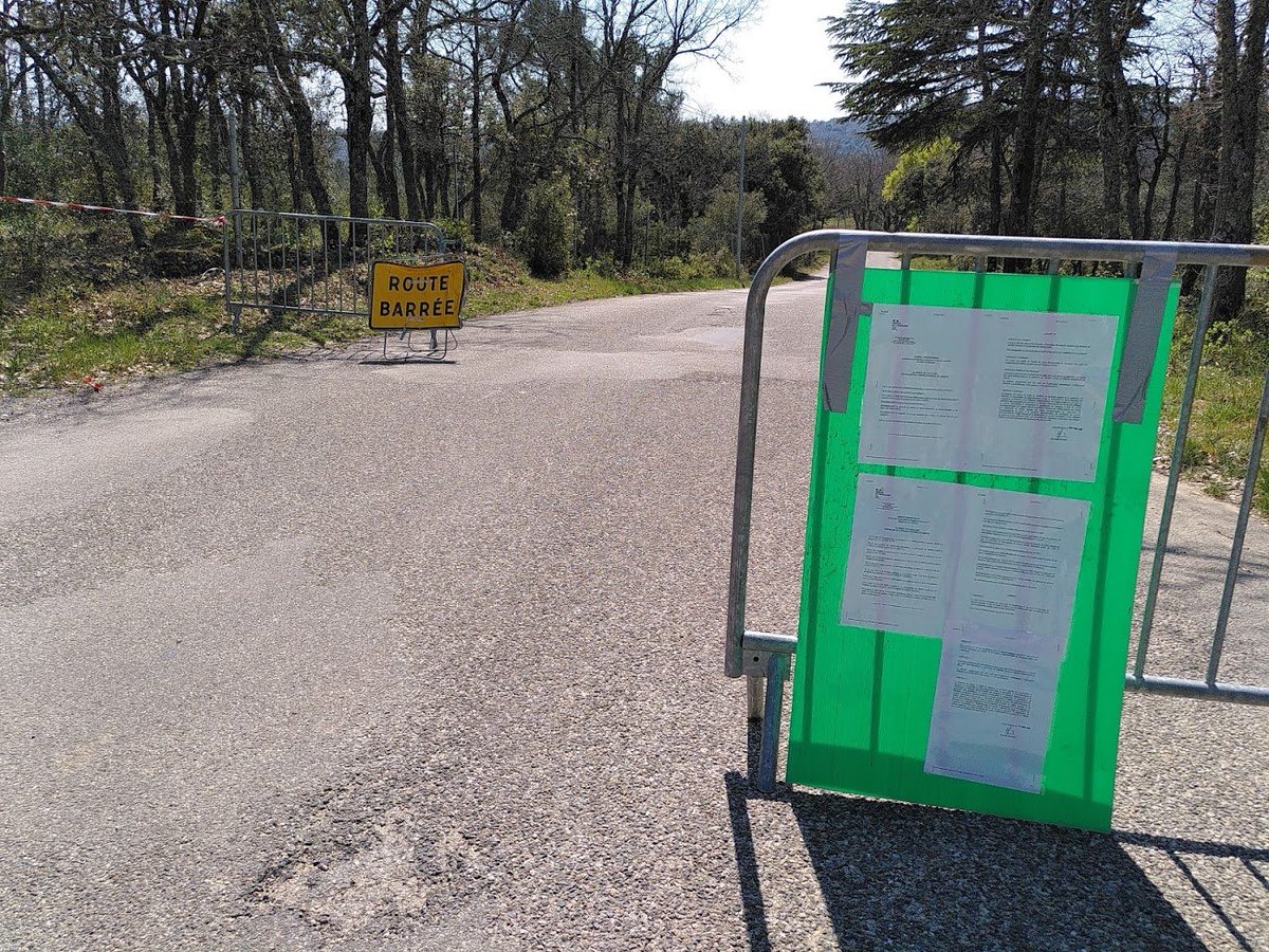 C'est entre ces branchages et le bois d'oeuvre que nous intervenons pour valoriser cette essence exceptionnelle. D'abord, il faut y accéder, à cette forêt. Une route (souvent fermée) et une piste DFCI (défense incendie) de plusieurs km. Avec une clé spéciale, à moi la forêt