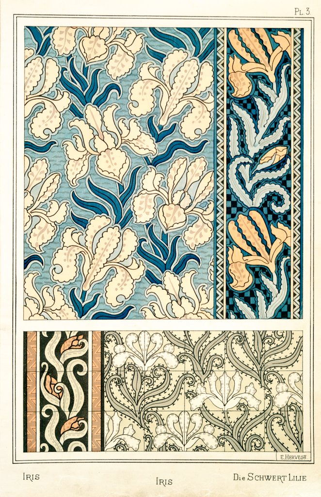 1/ THREAD of Art Nouveau flower and plant designs from the book "La plante et ses applications ornementales" by Eugéne Grasset. Paris, 1896."Iris" by M. P. Verneuil: