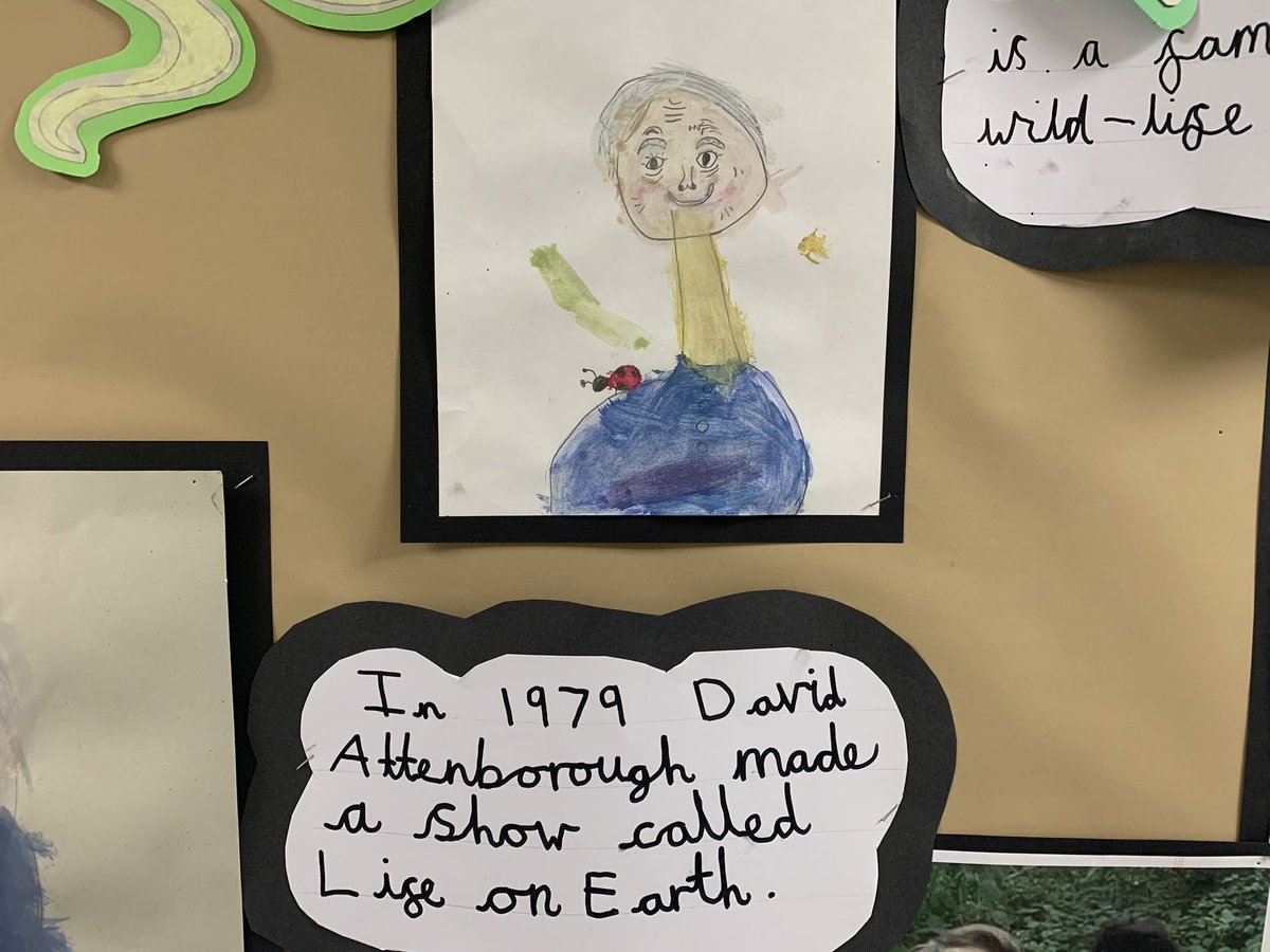 West Borough Primary School tweet media