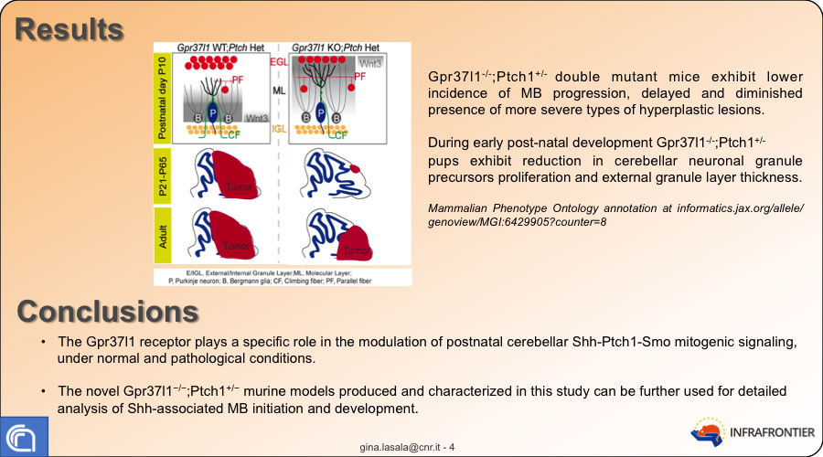 InfrafrontierEU's tweet photo. A fascinating poster from La Sala et al. on novel #invivo models of #medulloblastoma @InfrafrontierEU #InfrafrontierConf #InfraConfCancer https://t.co/zb3mVQqvTc
