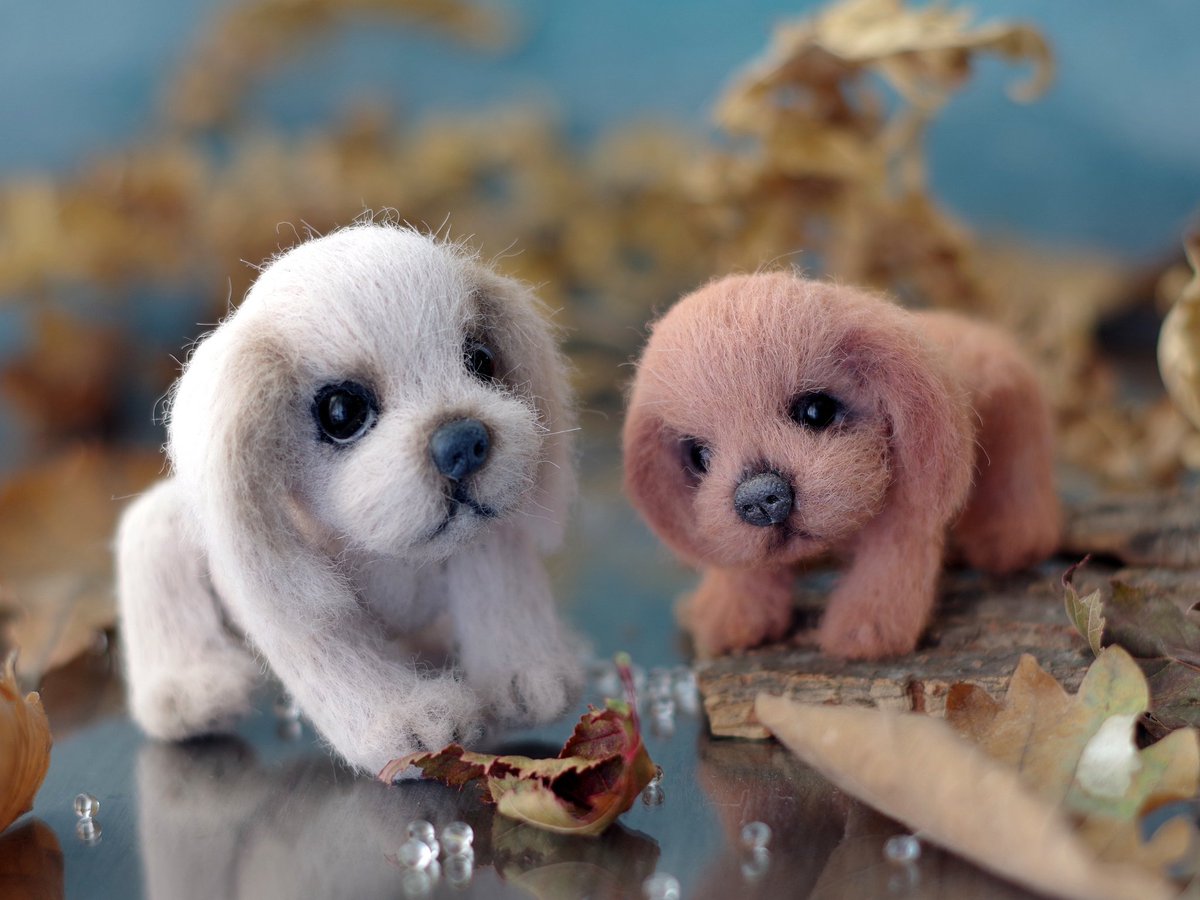 Tanatka1's tweet image. When it&apos;s autumn outside, you can just play with little crochet dogs :)

#crochettoys  #amigurumitoys #amigurumitutorial #amigurumi #amigurumichallenge #toys #handmade
m.facebook.com/story.php?stor…