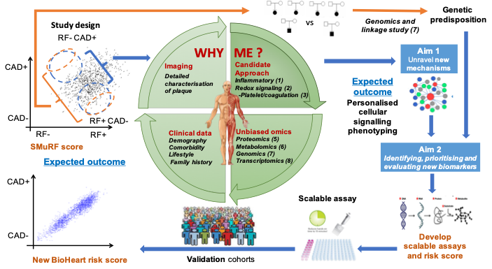 Super excited that "persistence" and excellence (of course!) pays off, and our <a href="/OzCvA/">ACvA</a> <a href="/USYD_CVI/">Cardiovascular Initiative, University of Sydney</a>  #PrecisionMedicine team are privileged to be supported by $2.5 Mill in the <a href="/nhmrc/">NHMRC</a> CRE Scheme <a href="/ProfSNicholls/">Steve Nicholls</a> <a href="/WARC_USYD/">Westmead Applied Research Centre #WARC_USYD</a> <a href="/steve_vern/">Steve Vernon</a> unravelling CAD. Tx to <a href="/Duncanivison/">Duncan Ivison</a> @TonyCPenna