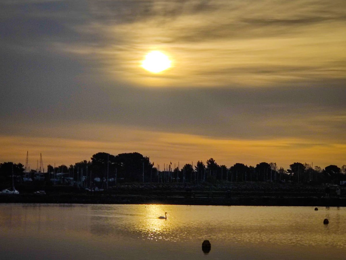 ChristinaDove7's tweet image. Early morning run down to the millpond. Endorphins are flowing for a day at the home office.
Happy Wednesday everyone!
#merceractive #ukrunchat #mmrun #health #wellbeing