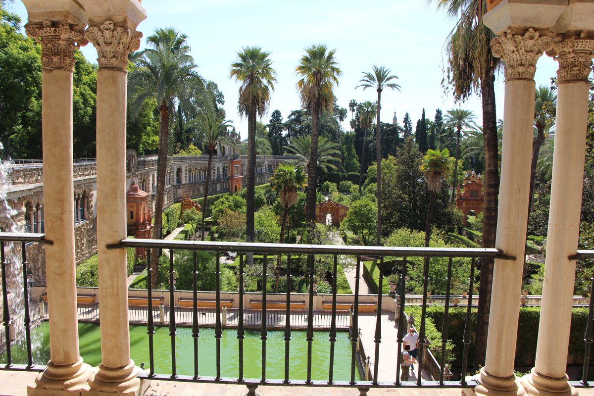 JuanRubioEx's tweet photo. Reales y cinematográficas vistas @SevillaAlcazar https://t.co/ipETkDGiR3