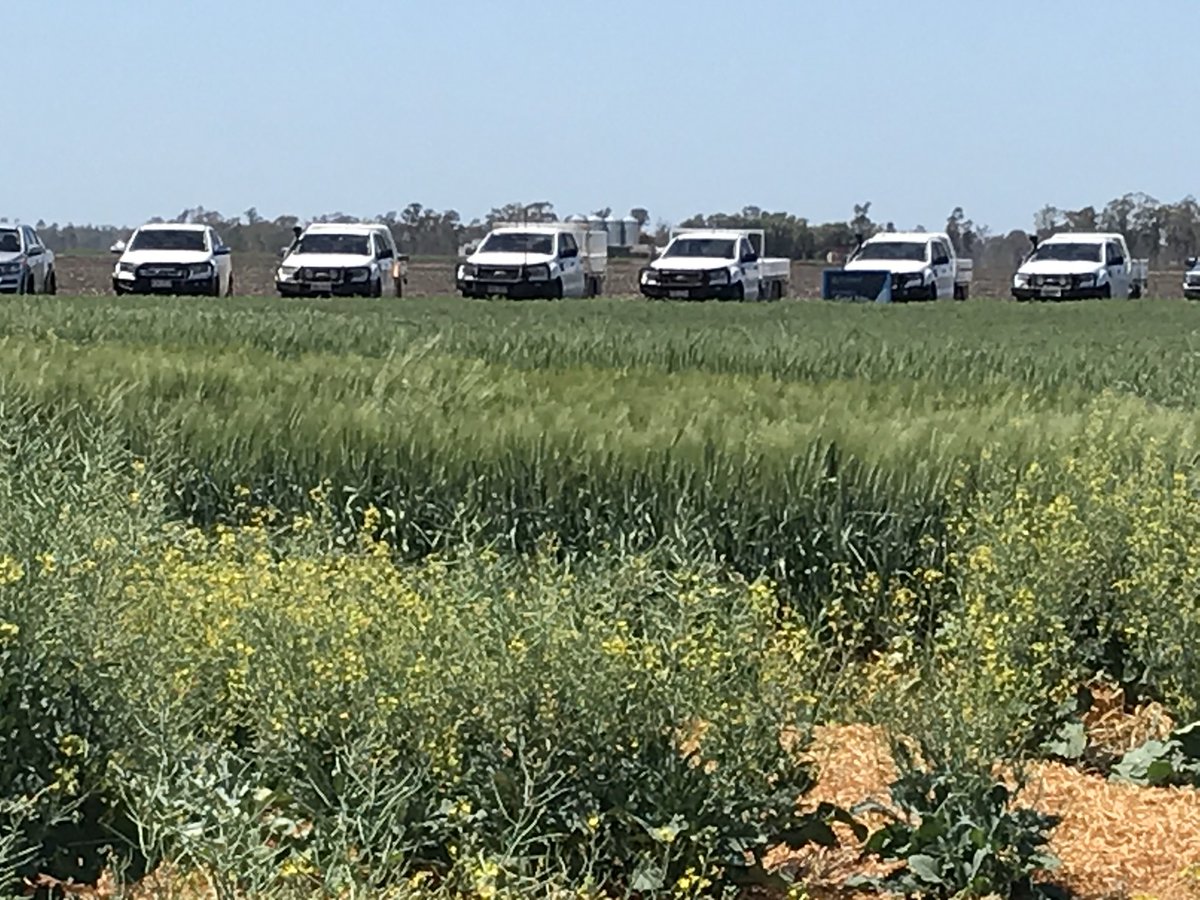 Top day for advisors at the Tosari Tech Site Industry day hosted by ⁦<a href="/EldersLimited/">Elders</a>⁩ and ⁦⁦<a href="/AuNutrien/">Nutrien Ag Solutions Australia</a>⁩. Thanks ⁦<a href="/SyngentaANZ/">Syngenta ANZ</a>⁩ ⁦<a href="/BASF_Agro_Au/">BASF Agricultural Solutions Australia</a>⁩ ⁦<a href="/Bayer4CropsAU/">Bayer AU 🇦🇺 | Crop Science</a>⁩ ⁦<a href="/NufarmAustralia/">Nufarm Australia</a>⁩ ⁦<a href="/AdamaAgri/">ADAMA Ltd.</a>⁩ ⁦@CortevaAU⁩ ⁦<a href="/SumitomoAgroAUS/">Sumitomo Chemical Australia AgroSolutions Division</a>⁩