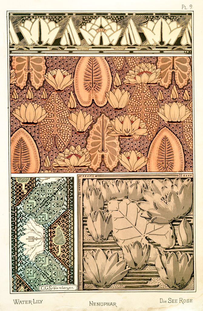 3/ Art Nouveau flower and plant designs from 1896."Water-Lily". Image 1 and 2 by M.P. Verneuil. Image 3 by C. G. Schlumberger.