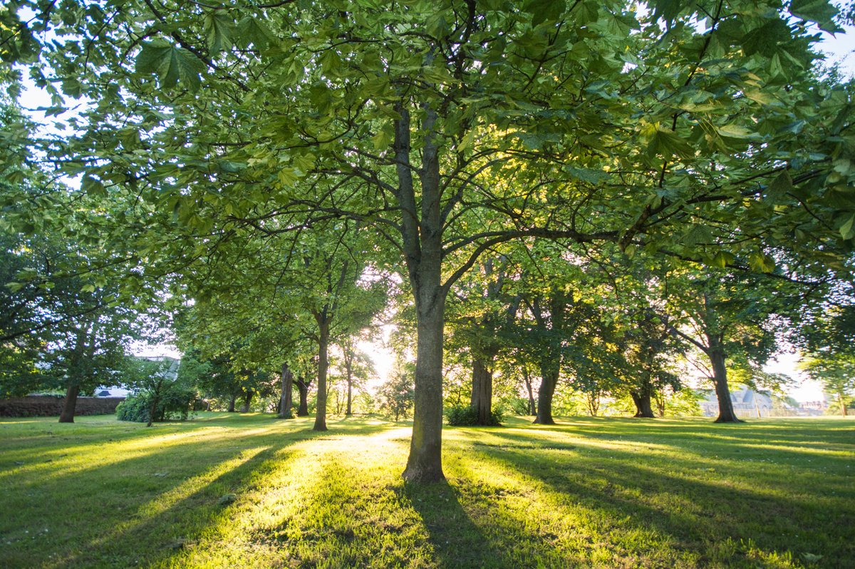 ExeCityFutures's tweet image. Unable to attend our #GreeningtheCity Connect event last month? 

Not to worry! We&apos;ve written a blog summarising all the inspirational projects helping to bring about better #greenspaces in #Exeter and ways you can support them!

Read more: bit.ly/Greening-wrapup #NetZeroExeter