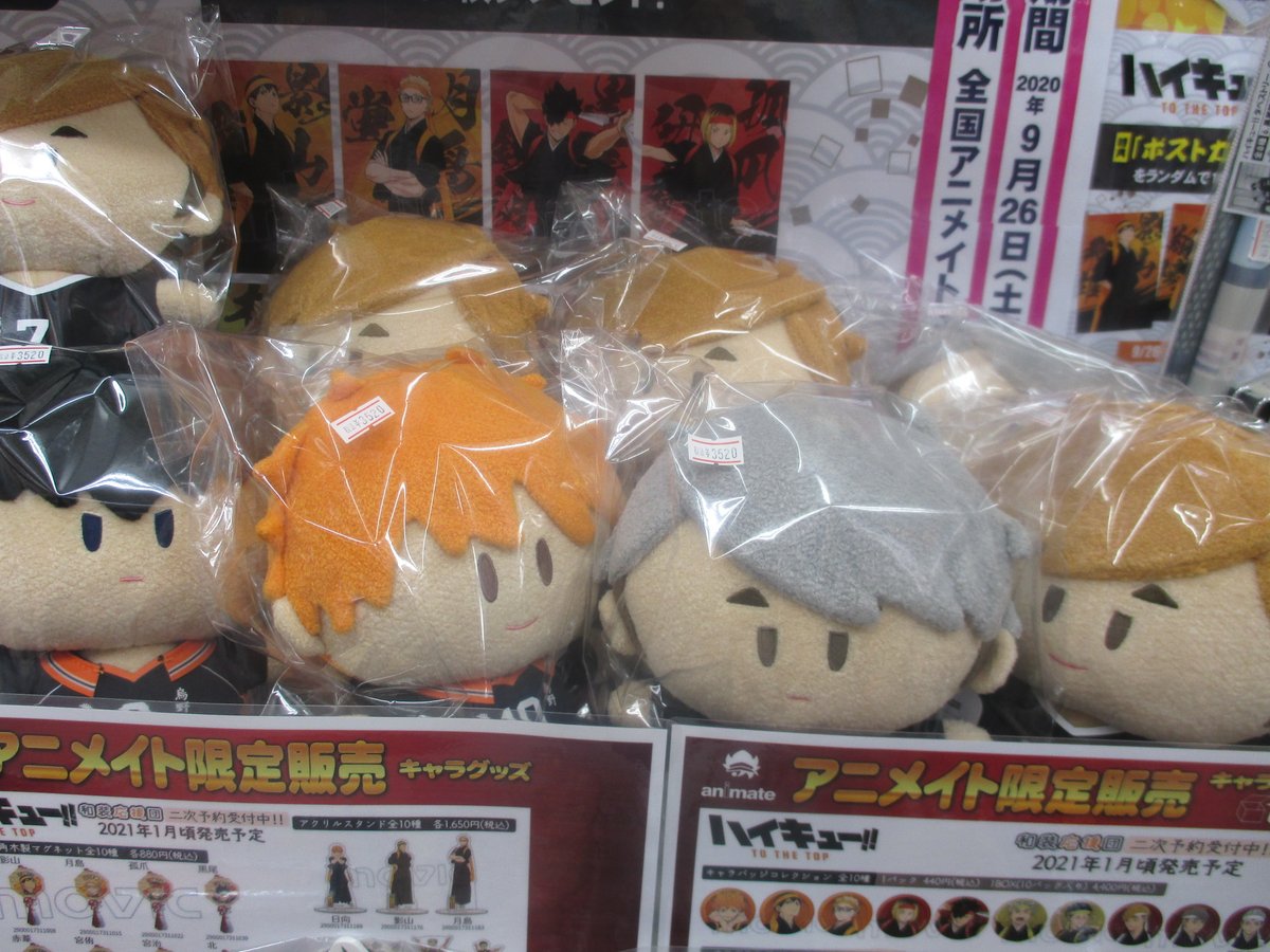 アニメイト那覇国際通り店 短縮営業中 新商品入荷情報 ハイキュー To The Top より だるぬい よりぬい イメージベア が入荷さー さらにただいまフェアも開催中 詳細は添付のpopをチェック ハイキュー 沖縄