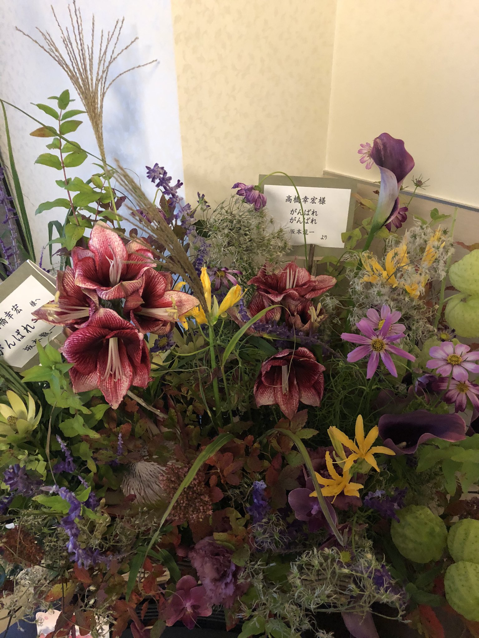 Yukihirotakahashi 教授から3度目の大きなお花 益々大きくなる 桑田君 ハラ坊からもメッセージとお花 有難う 本来は見舞い花は禁止なのですが 土とかがないことで 特別に許して頂けました 病院関係の方々 また病院自体へ まことに有難うござい