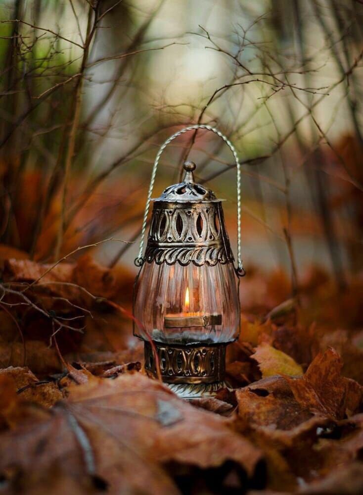 يوماً ما ستعود حياتنا كما كانت هادئة ... جميلة ... خالية من الأمراض..
تحفها عناية الله ولطفه فما بين غمضة عين وانتباهتها يغير الله من حال إلى حال ...
ما أجمل التفاؤل وحسن الظن بالله ...
#عمان_تواجه_كورونا
#خليك_في_البيت
#عمان_جسد_واحد