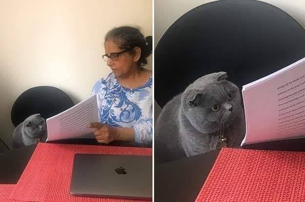 dickensokuyo's tweet photo. Teacher: What causes breakup in marriages?
Student: Unfaithfulness

Teacher: Why did you write Edgar Obare
#edgarobare https://t.co/OKVKPTqvPv